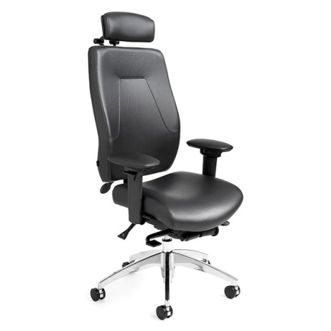 ErgoCentric eCentric Executive - Big and Tall - Headrest