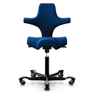 HAG Capisco 8106 - ERA Maturity