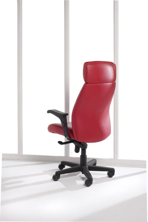Nightingale Presider 7700D Executive office chair with head rest