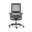 Equation Ergonomic Chair - Rear view, black frame, Nightlife mesh