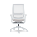 Equation Ergonomic Chair - Rear view, birch frame, Skyline mesh