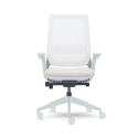 Equation Ergonomic Chair- Front view, birch frame, Skyline net