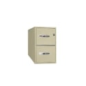 Gardex Classeur Vertical Antifeu - 2 Tiroirs - GF-252