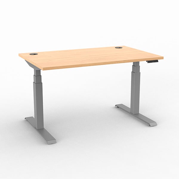 ErgoCentric 24x48 Standing Desk - Kensington Maple