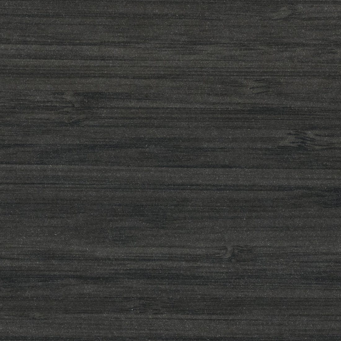 ASN - Nuit d’Orient