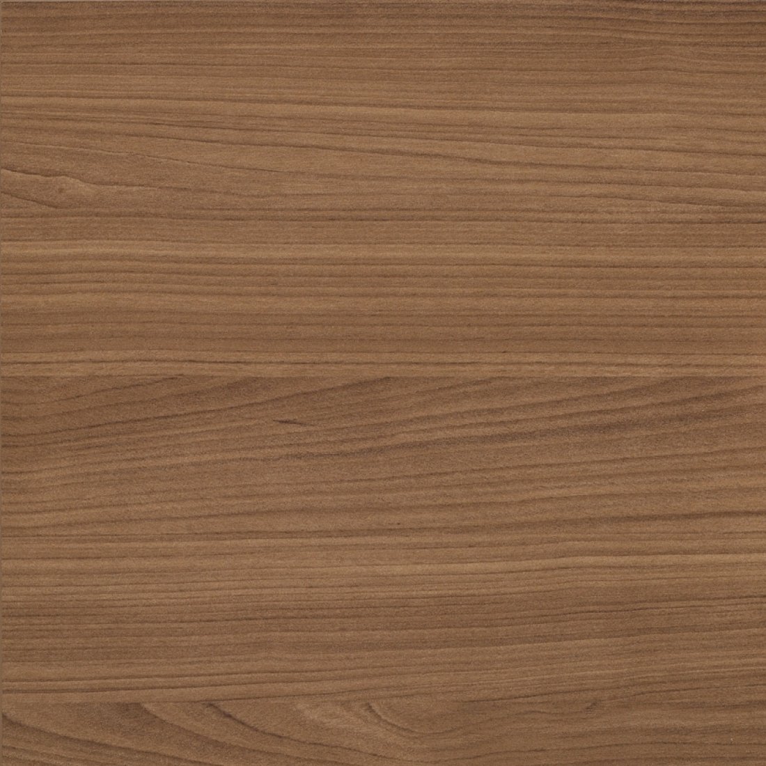 WCR - Cerisier d’Hiver - Livraison rapide