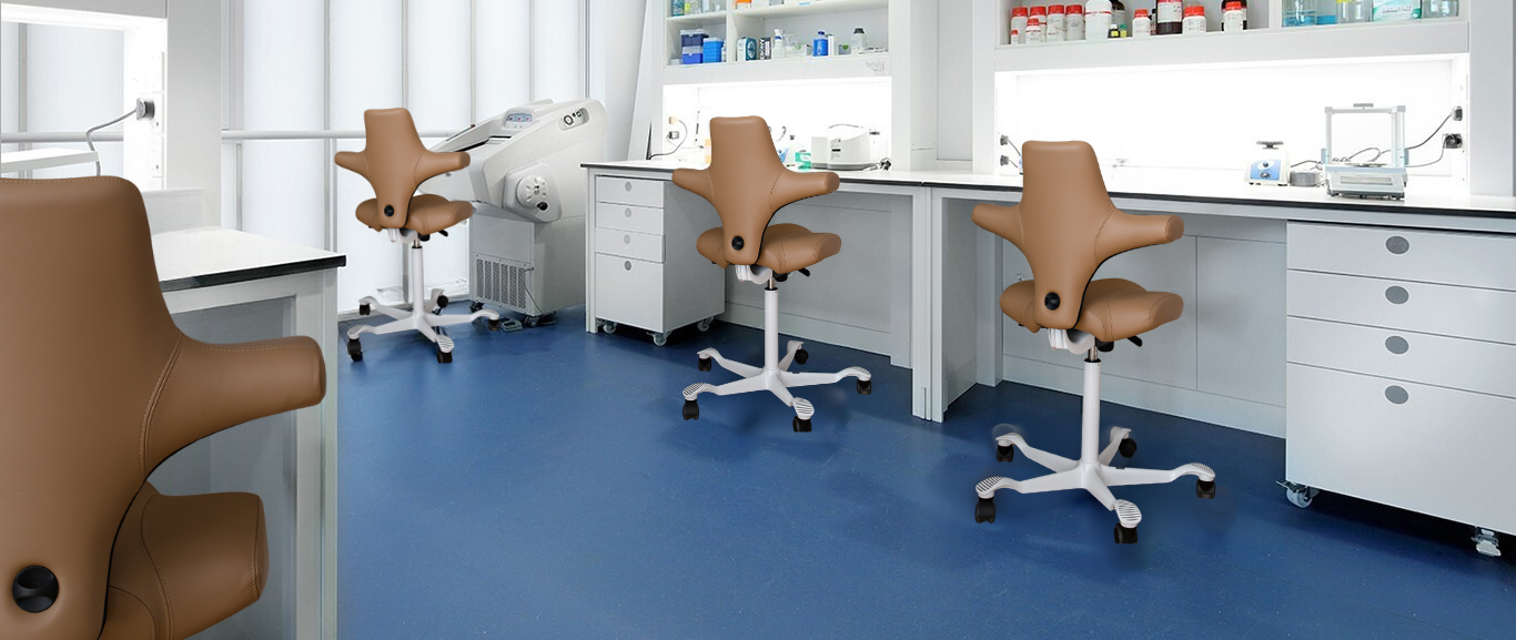 Capisco chair in a Lab