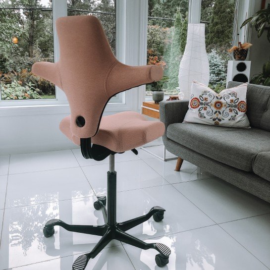 HAG Capisco Ergonomic Chair