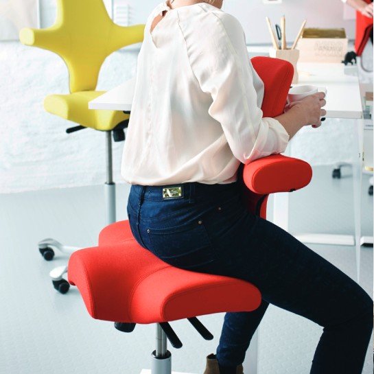 HAG Capisco Chair - Facing Back