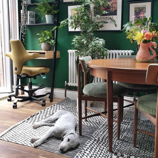 HAG Capisco Ergonomic Chair - Home Office