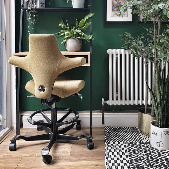 HAG Capisco Chair - Back